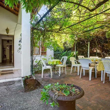 Maison De 3 Chambres A Cap D'antibes A 400 M De La Plage Avec Jardin Clos Et Wifi * Antibes